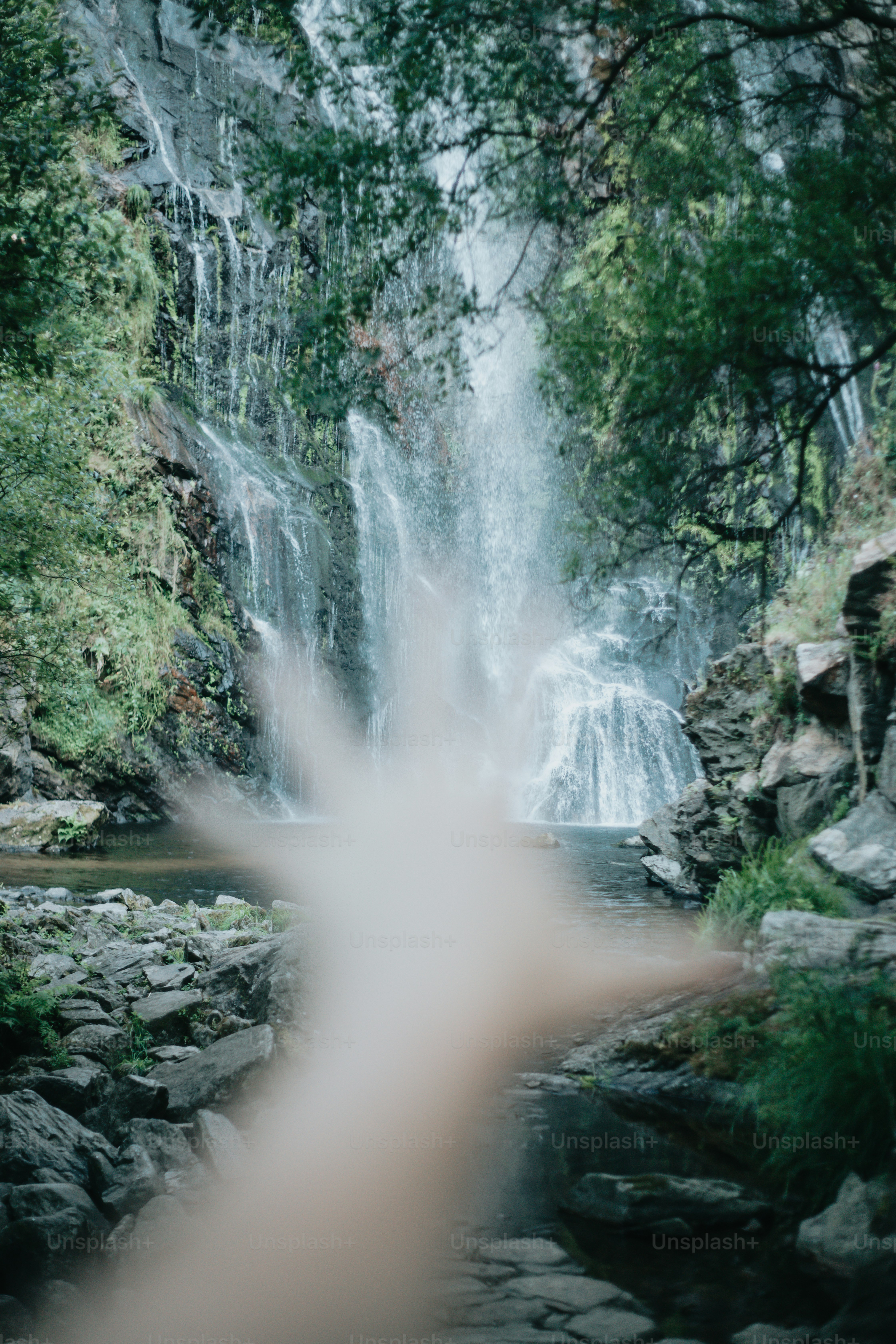 Forest Glen, Queensland