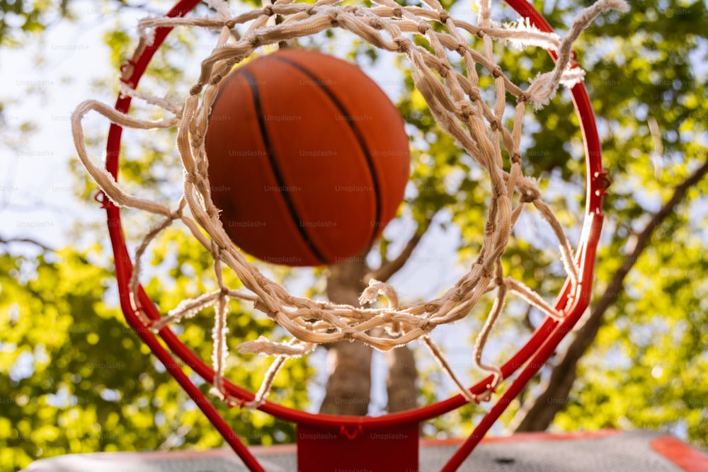 Un pallone da basket che attraversa un canestro con un albero sullo sfondo