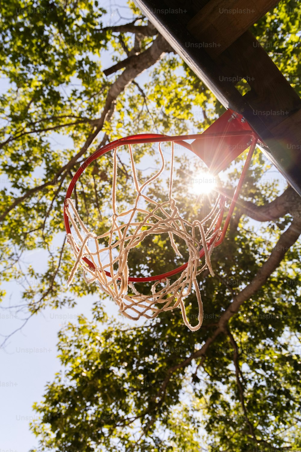 Un aro de baloncesto con el sol brillando a través de los árboles