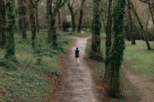 una persona corriendo por un sendero en el bosque