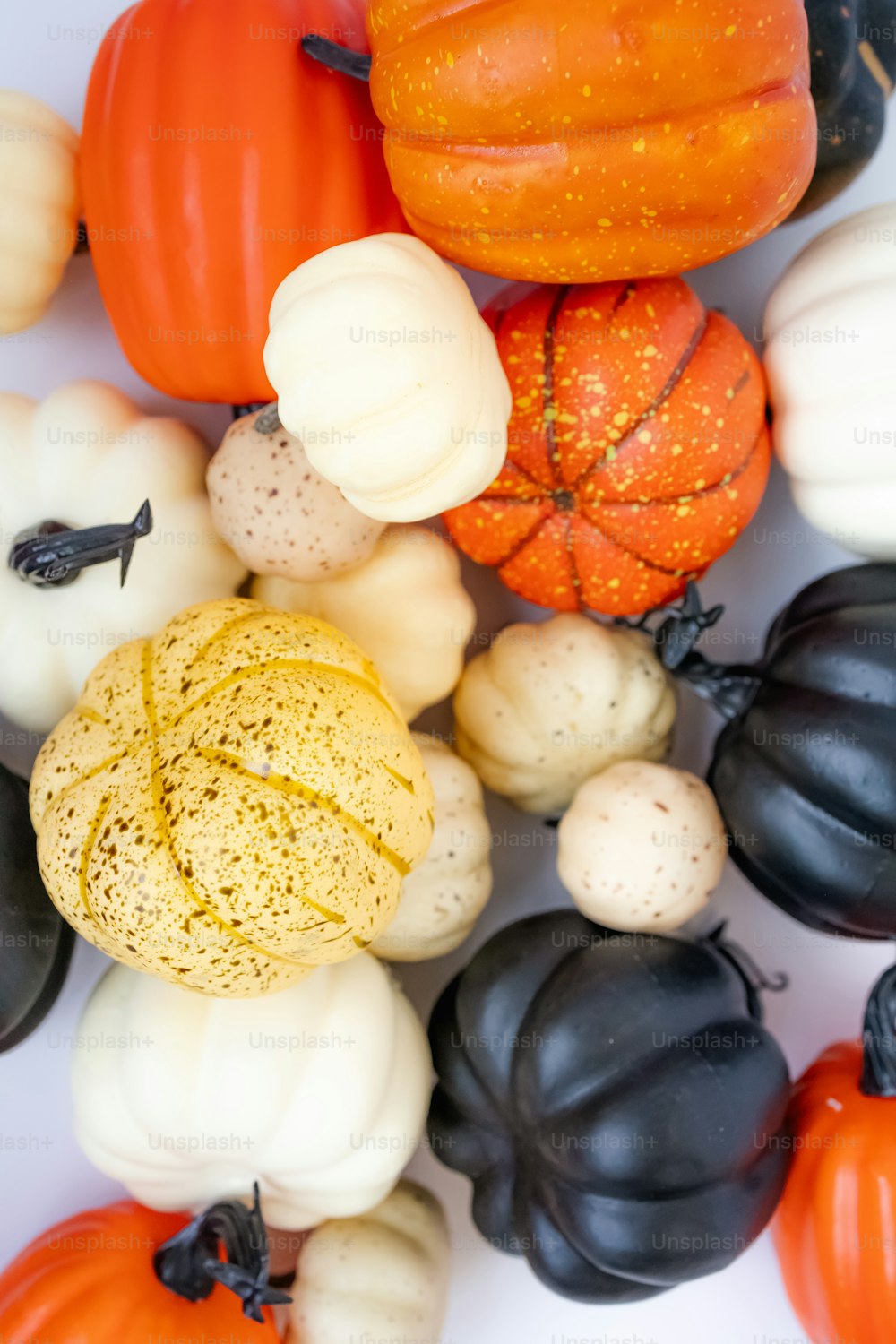 a bunch of pumpkins and gourds on a white surface