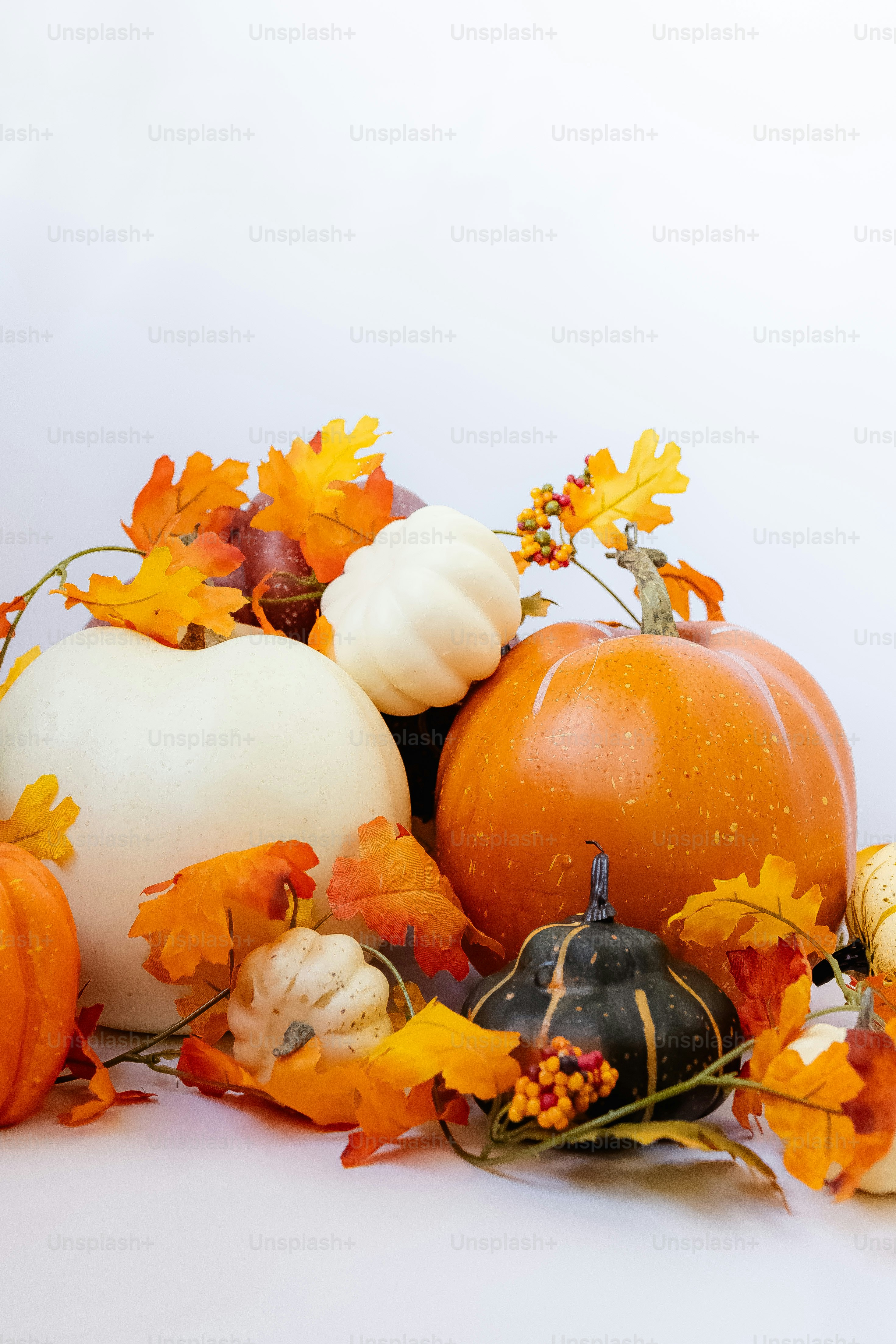 a pile of pumpkins and gourds with autumn leaves