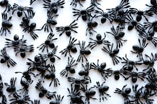 Un grupo de figuras de araña negra sobre una superficie blanca