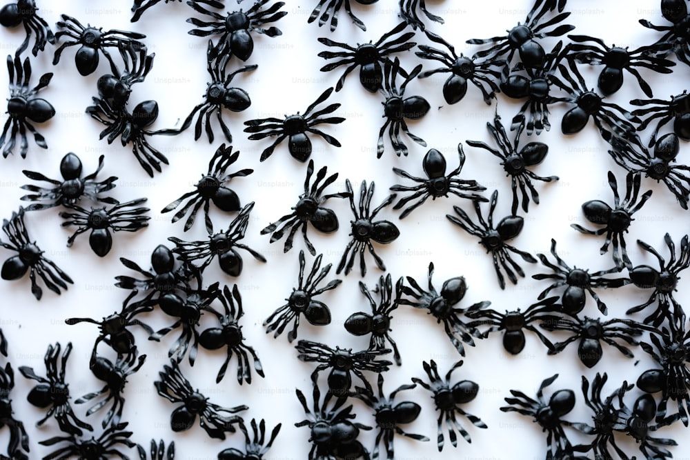 a group of black spider figurines on a white surface