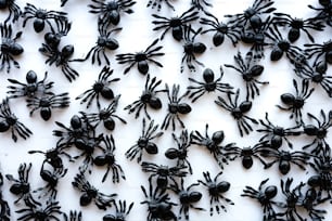 a group of fake black spideres on a white surface