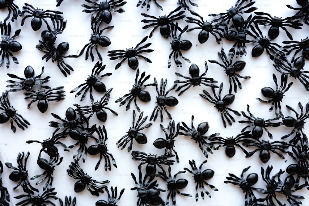 a group of fake black spideres on a white surface