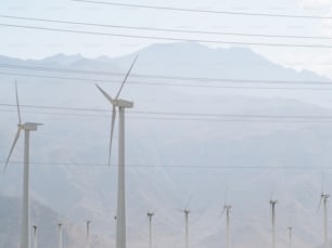 a group of windmills in a field with mountains in the background