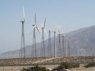 a bunch of windmills that are standing in the dirt