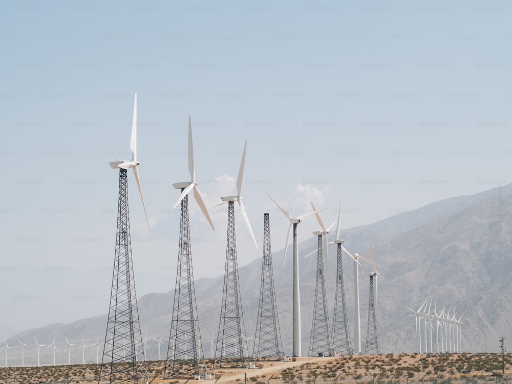 a group of windmills in a field with mountains in the background