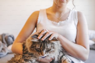 Eine Frau, die die Haare ihrer Katze kämmt, während sie auf einem Bett sitzt