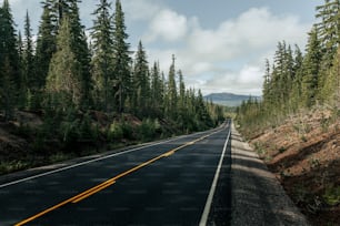 Une route vide entourée d’arbres des deux côtés