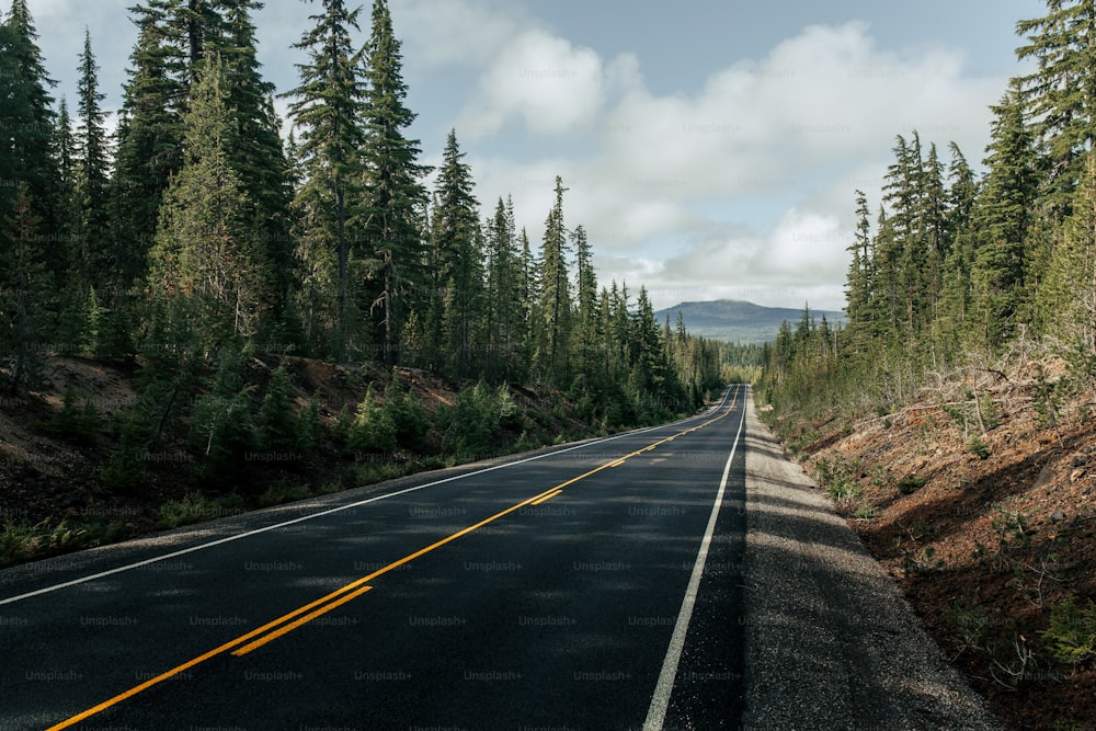 an empty road surrounded by trees on both sides