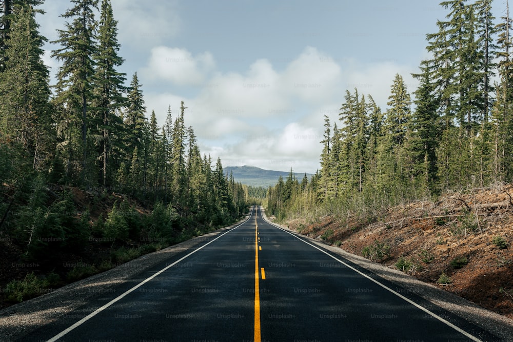 Una strada vuota circondata da alberi e montagne