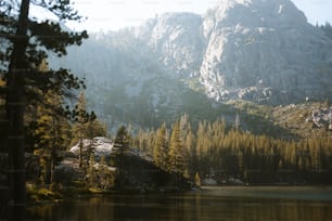 un lago rodeado de árboles y una montaña al fondo
