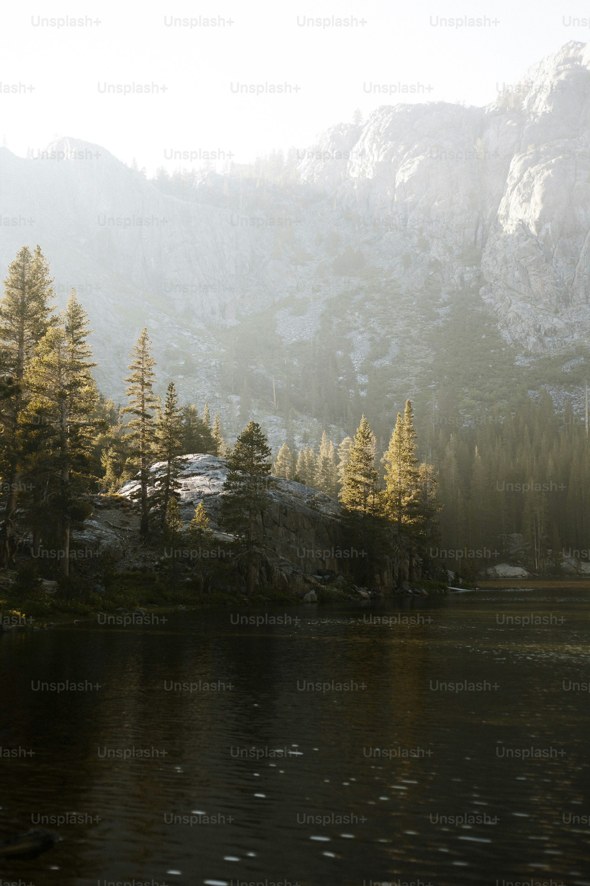 a large body of water surrounded by trees