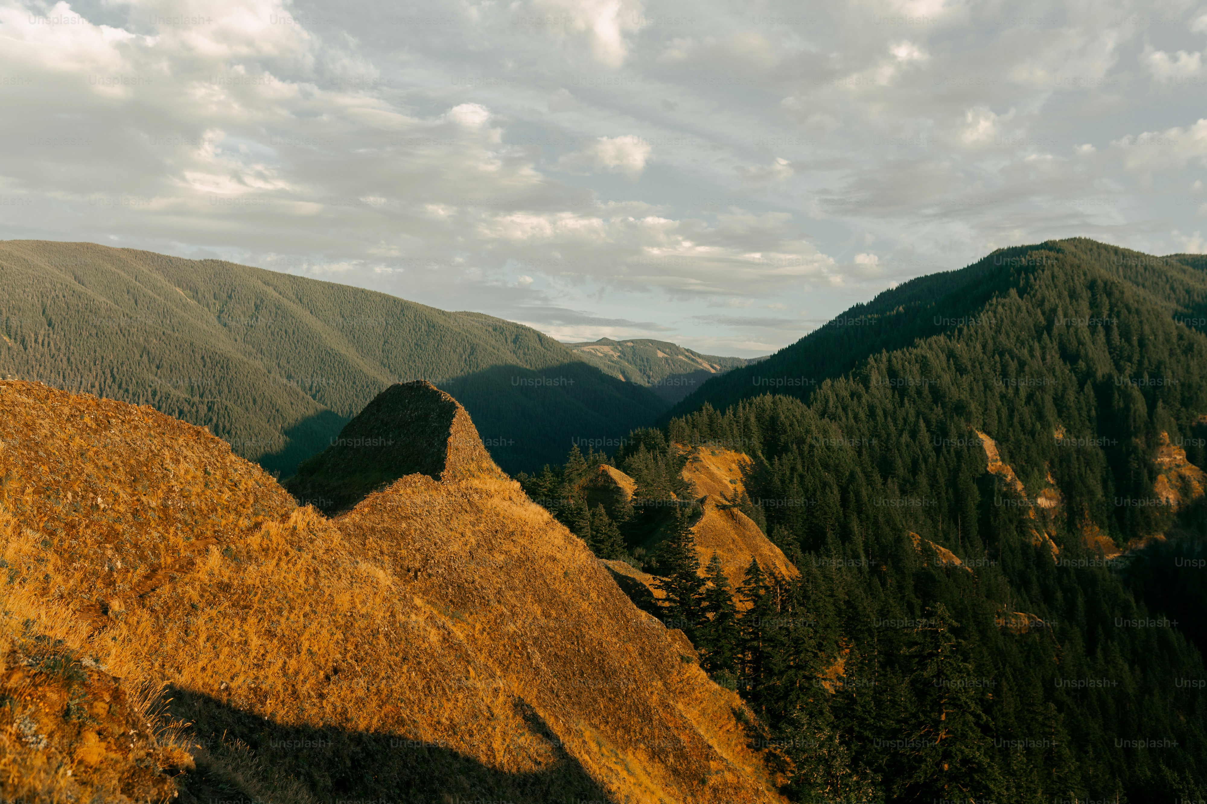 a view of a mountain range with trees in the foreground