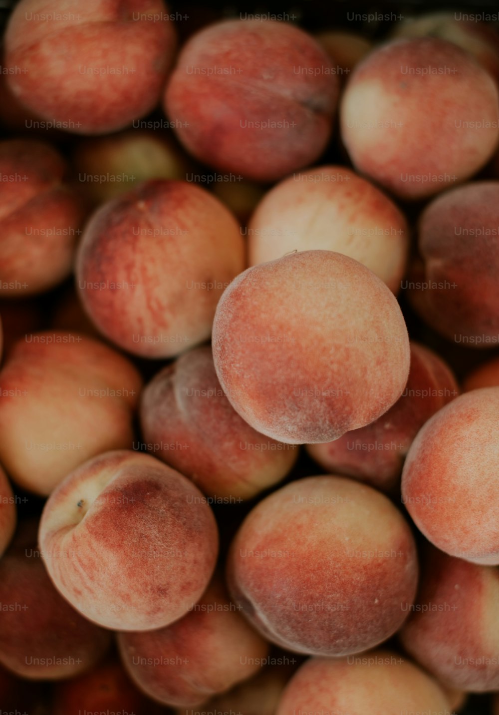 a pile of peaches sitting next to each other