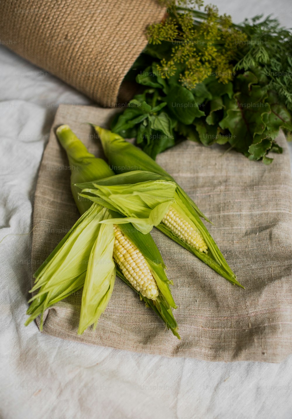 maíz en la mazorca y otras verduras en un paño