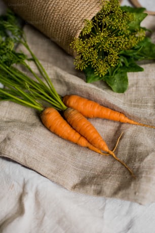 a bunch of carrots sitting on top of a cloth