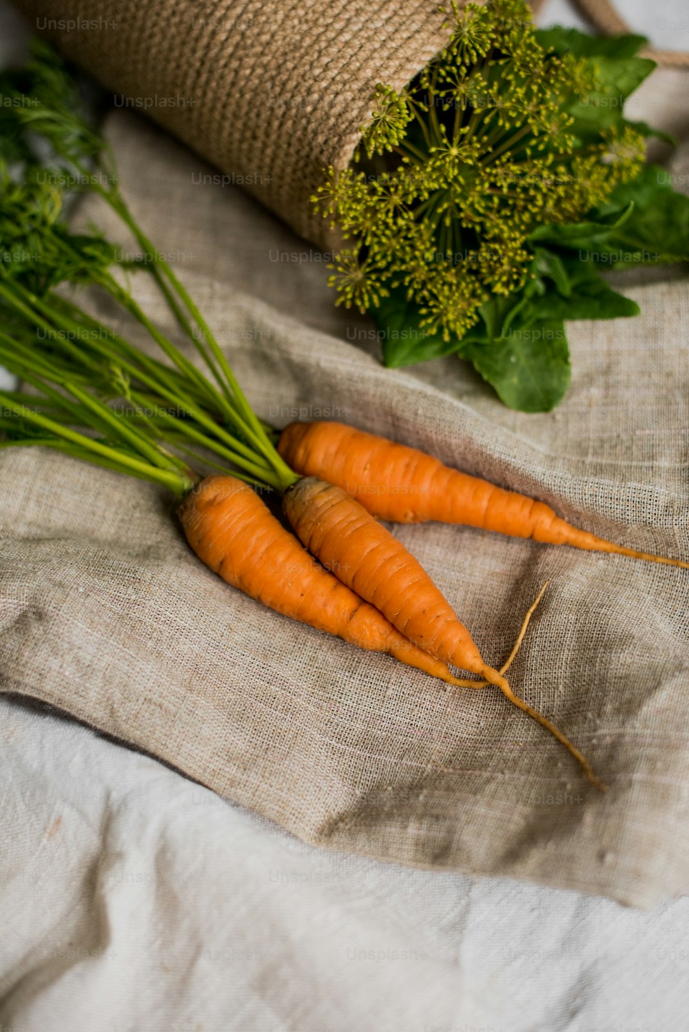 un bouquet de carottes assis sur un tissu