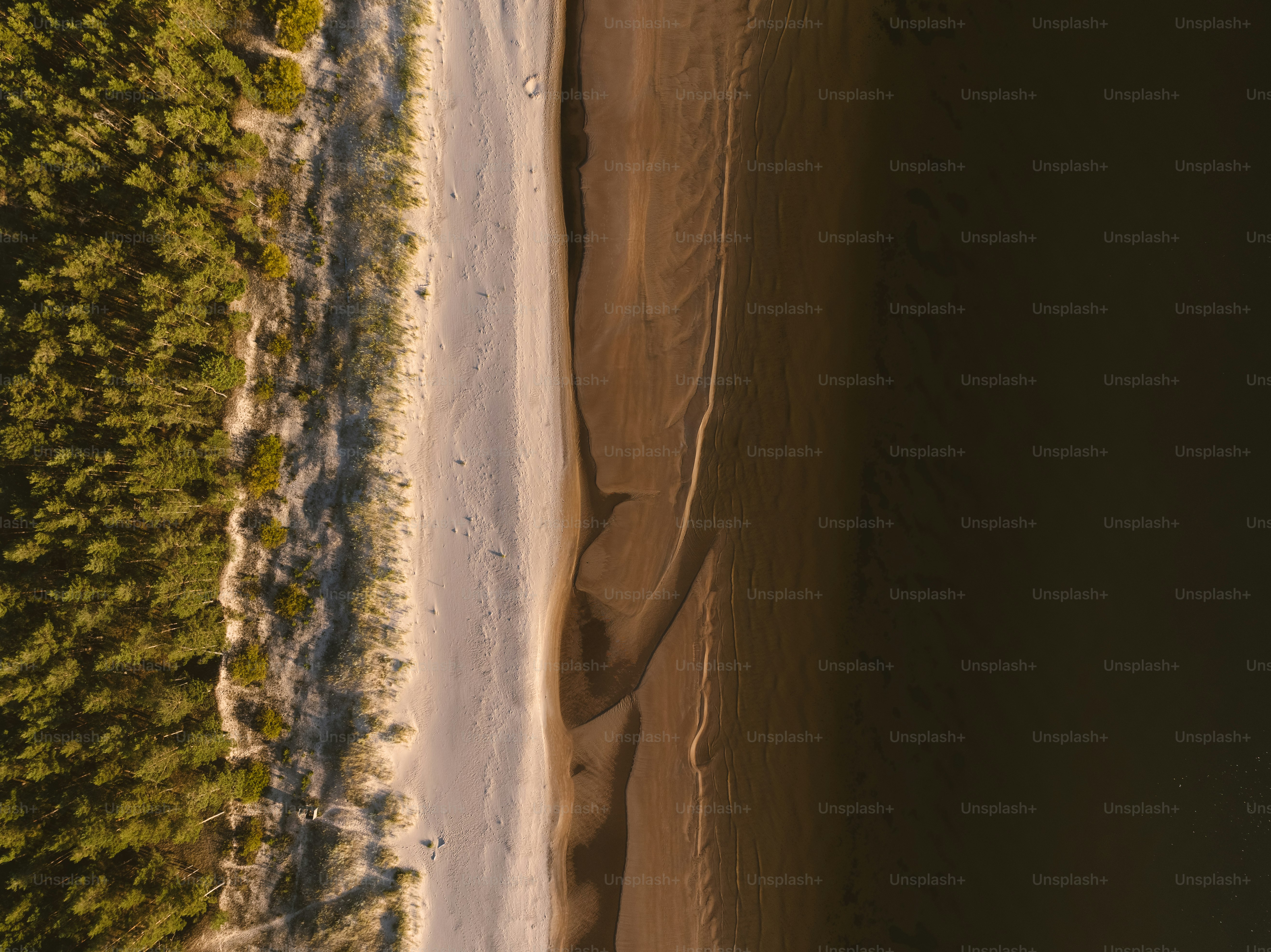 an aerial view of a beach and trees