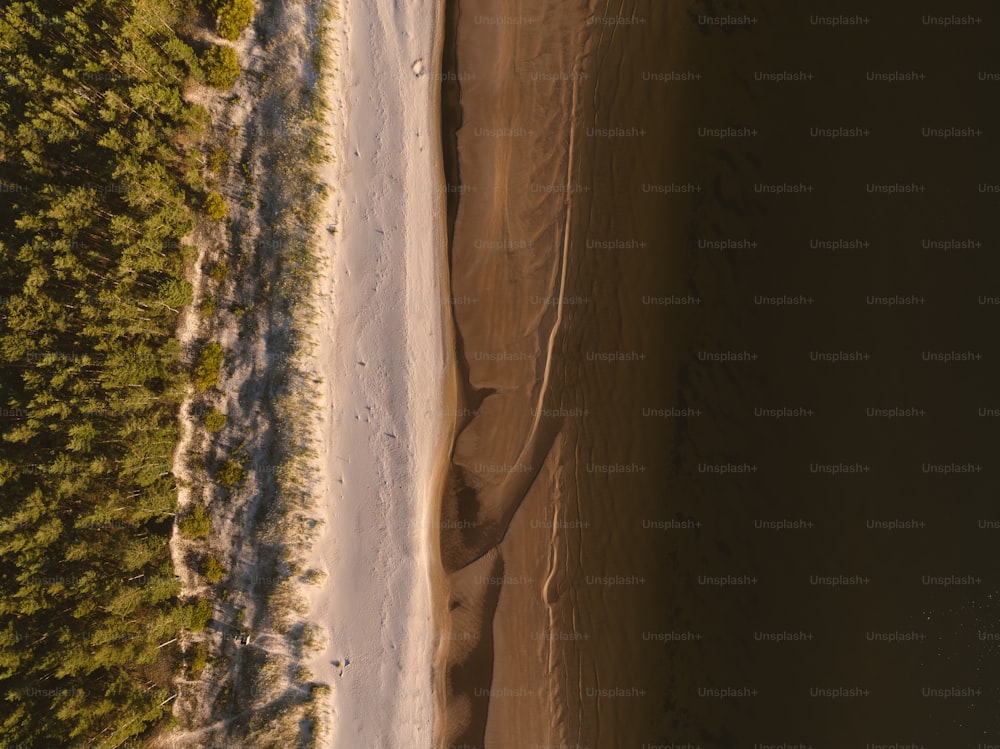 una vista aerea di una spiaggia e alberi