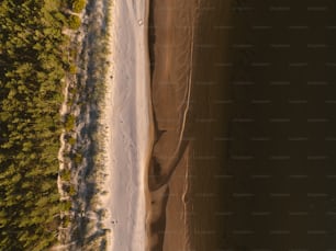 une vue aérienne d’une plage et d��’arbres