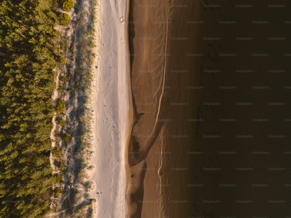 an aerial view of a beach and trees