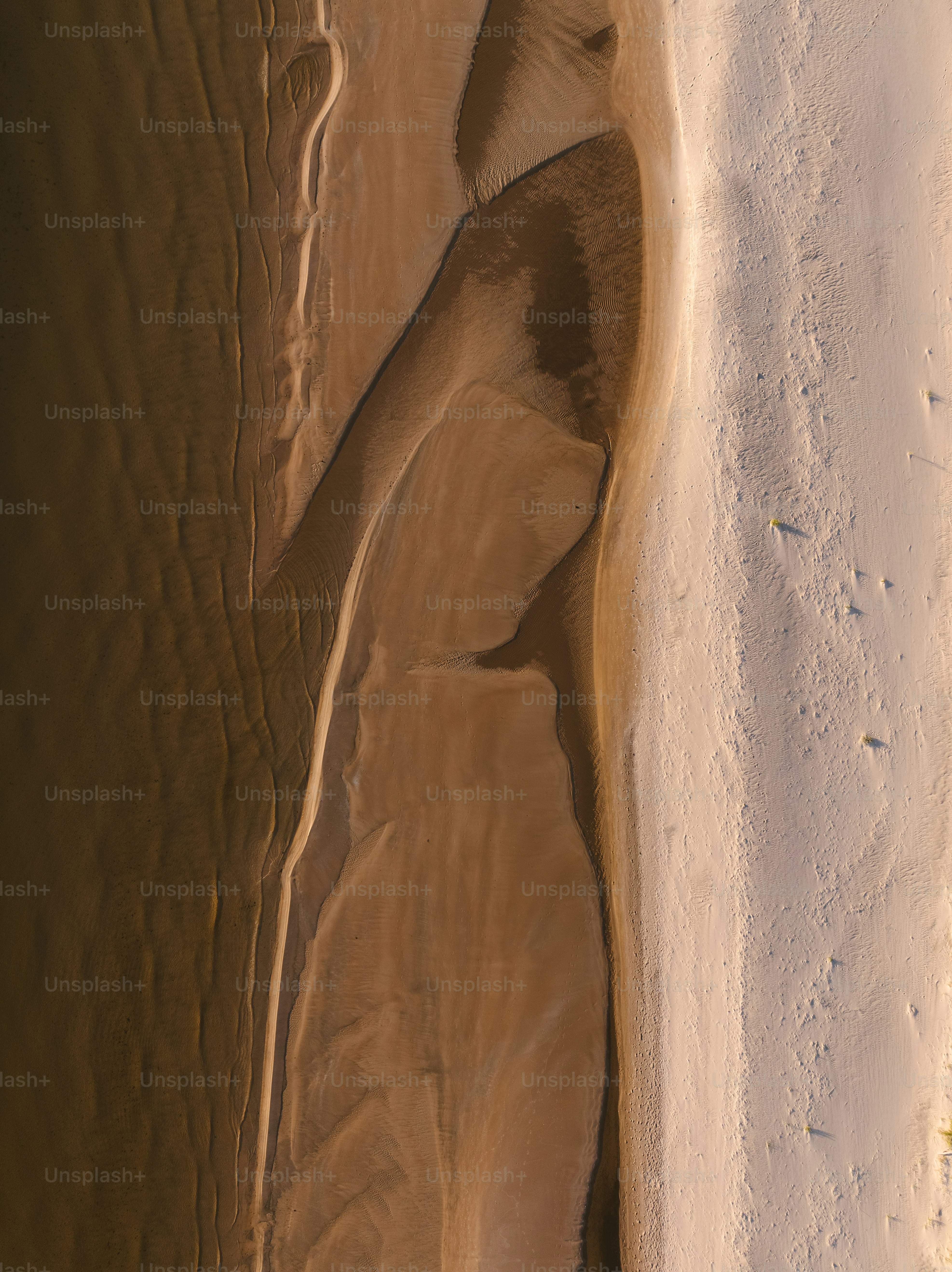 premium_photo-1664635401818-a9dd7dc871d8?ixid=M3wxMjA3fDB8MXxzZWFyY2h8OTN8fE1hbGUlMjBNdXNjbGV8ZW58MHx8fHwxNzU0MDYxMjYyfDA%5Cu0026ixlib=rb-4.1.0