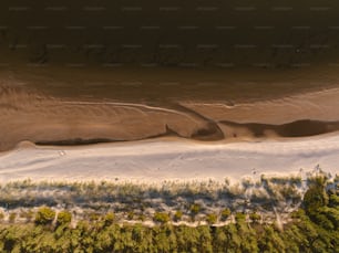 an aerial view of a sandy beach and trees