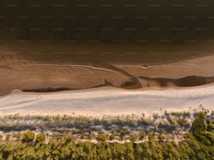 Una vista aérea de una playa de arena y árboles