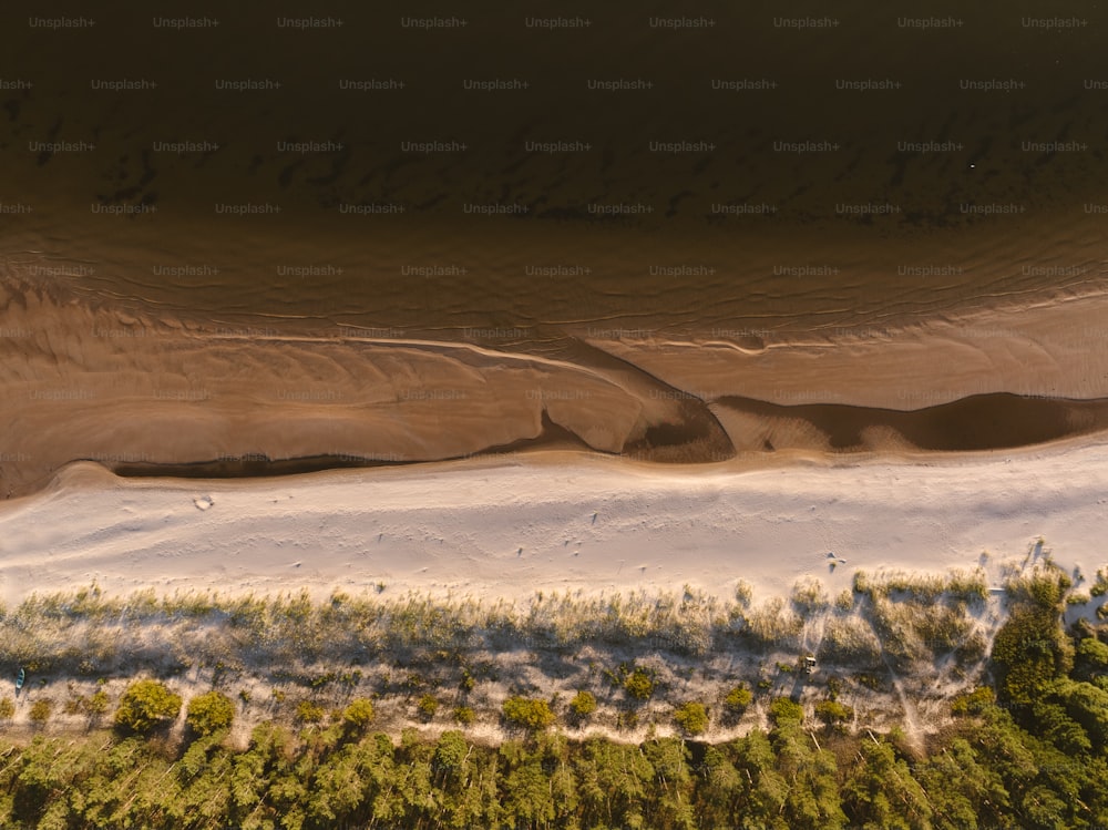 an aerial view of a sandy beach and trees