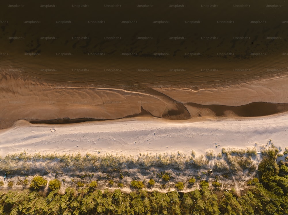 Eine Luftaufnahme eines Sandstrandes und von Bäumen