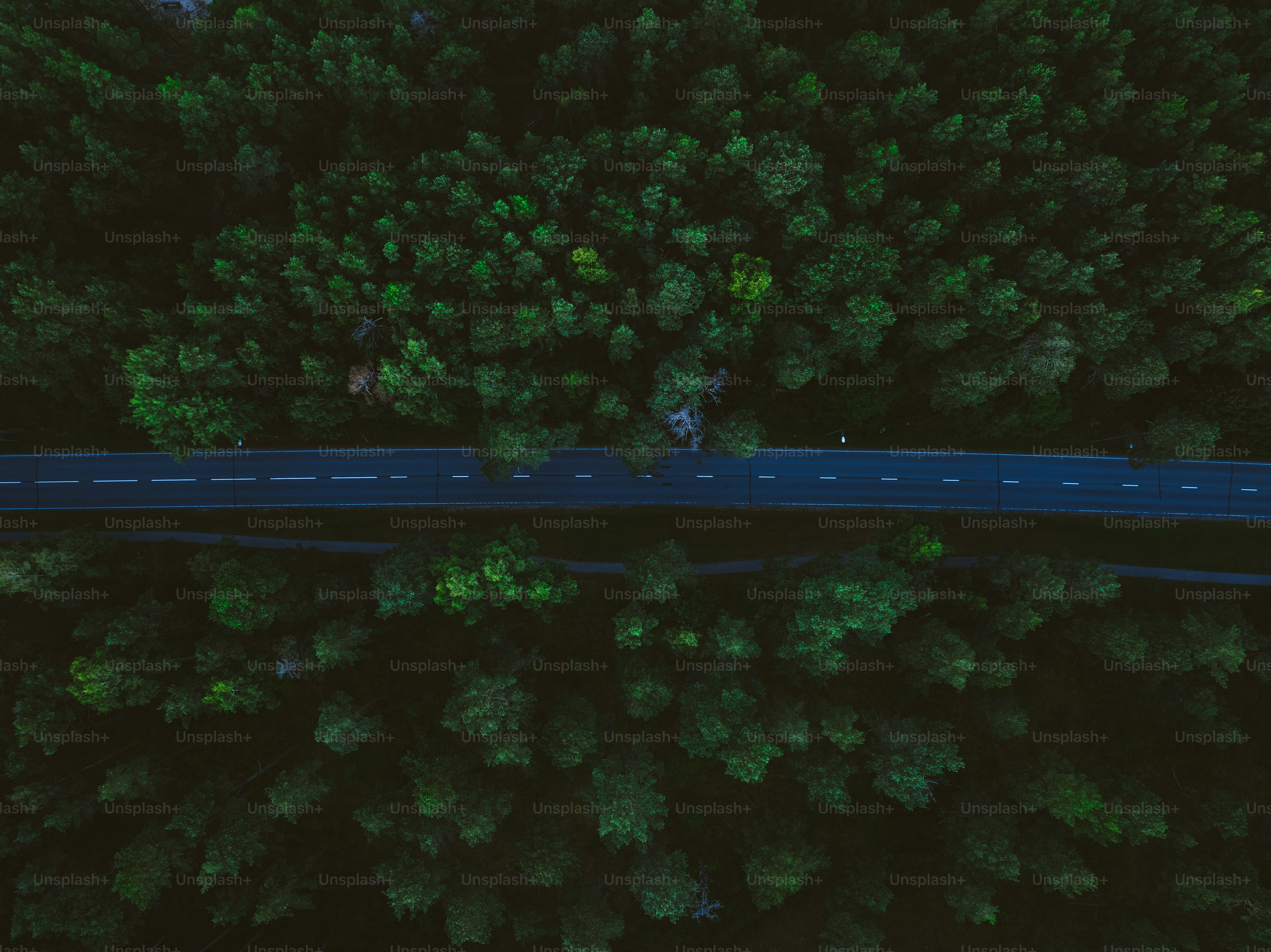 an aerial view of a road in the middle of a forest