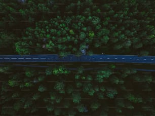 an aerial view of a road in the middle of a forest