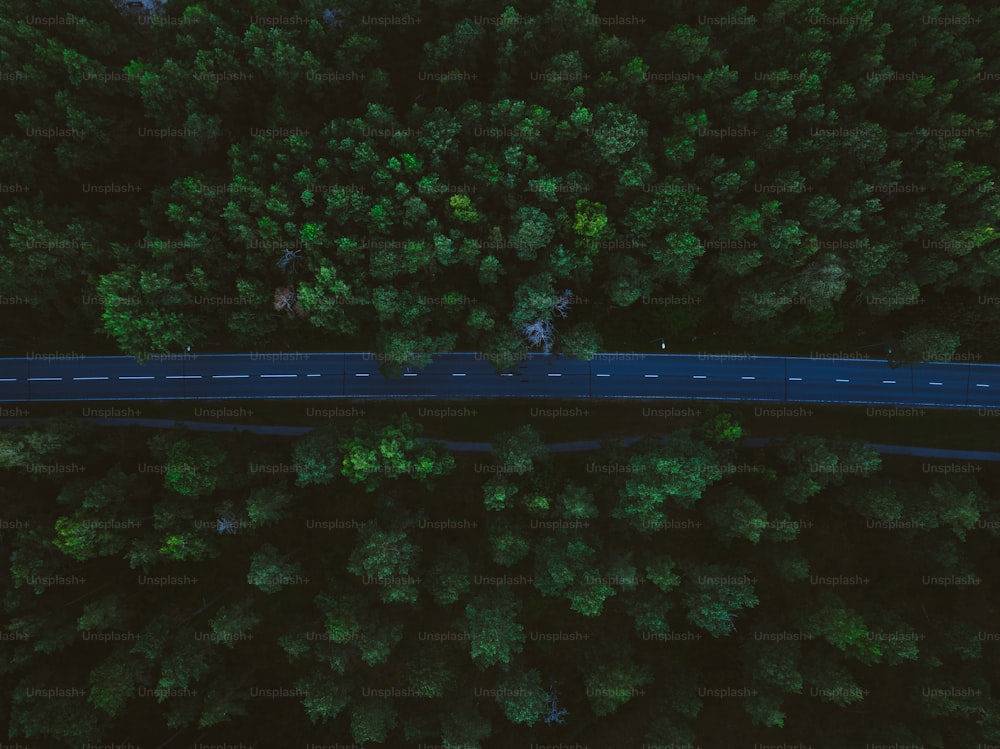 an aerial view of a road in the middle of a forest