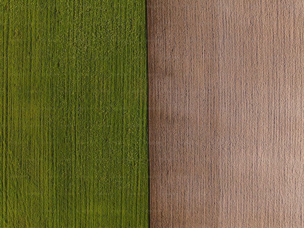 un primo piano di due diversi colori di legno