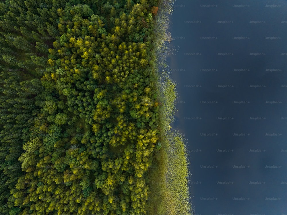 an aerial view of a lake surrounded by trees