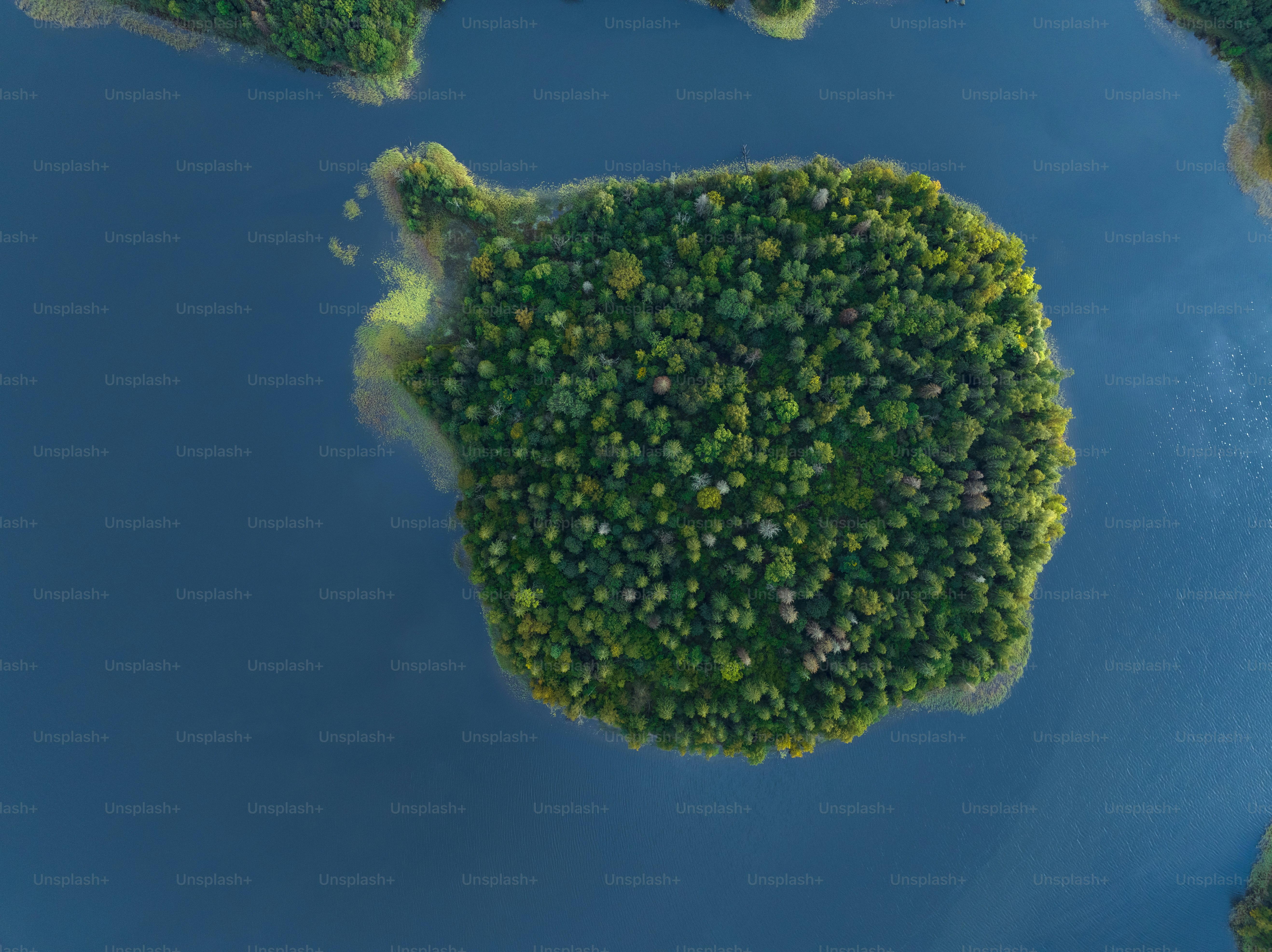 an aerial view of a lake surrounded by trees