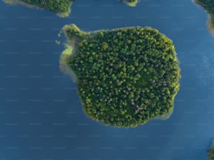 an aerial view of a lake surrounded by trees