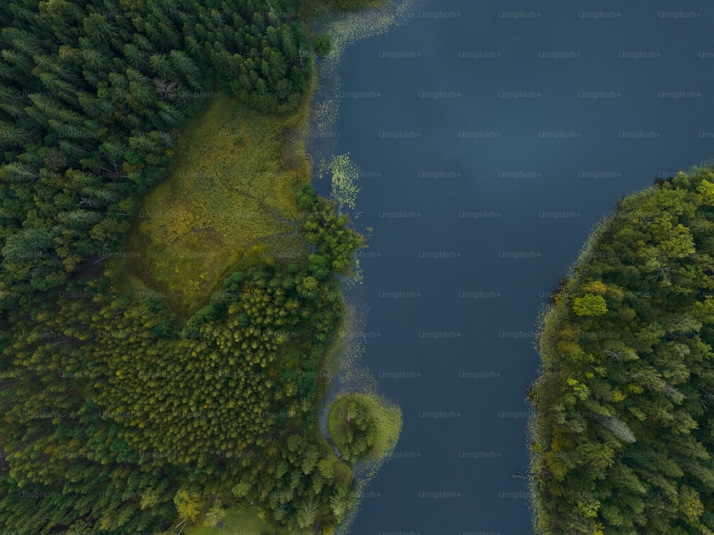 uma vista aérea de um lago cercado por árvores