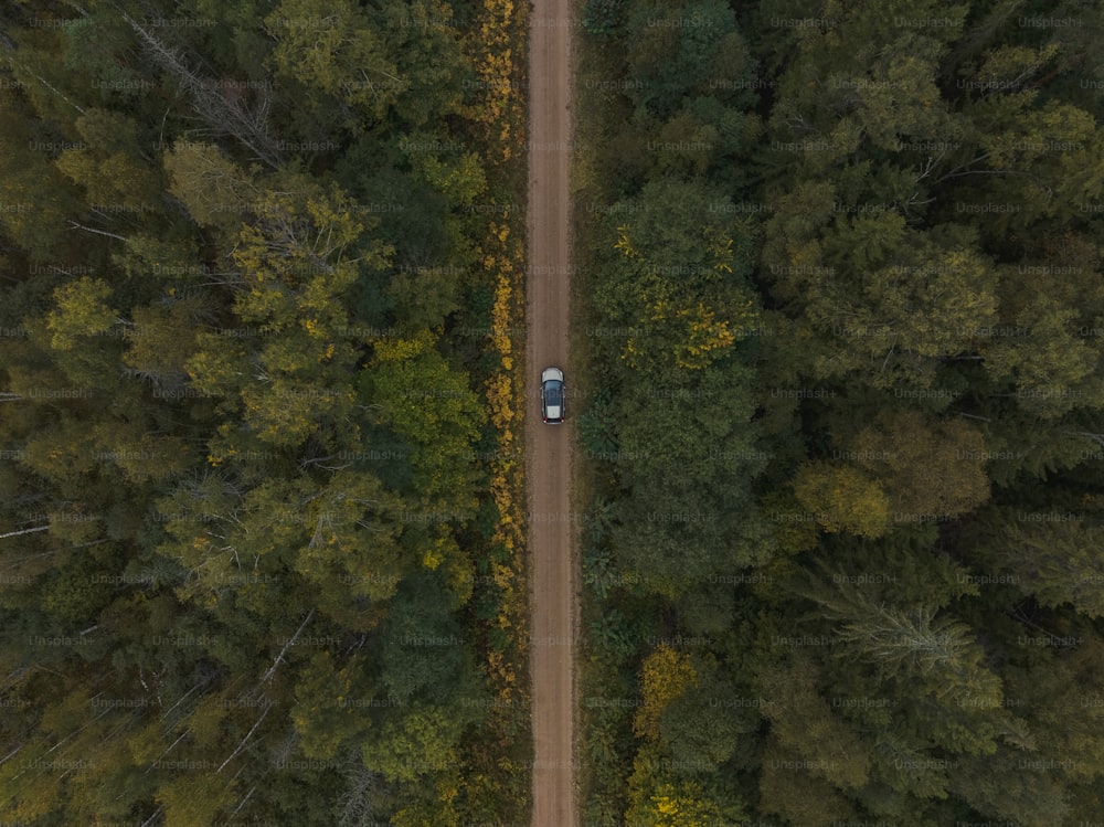 Un coche conduciendo por un camino de tierra en medio de un bosque