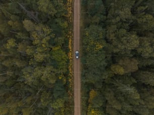 a car driving down a dirt road in the middle of a forest