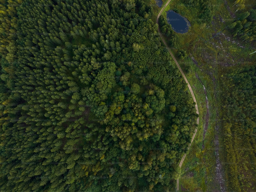 Vue aérienne d’une route à travers une forêt