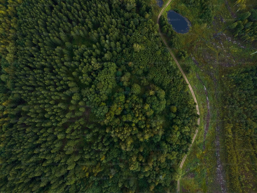 an aerial view of a road through a forest