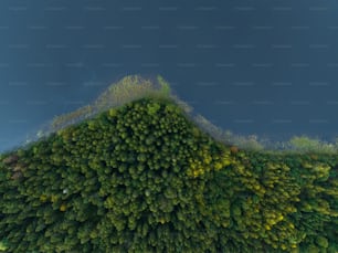 uma vista aérea de uma floresta com uma montanha ao fundo