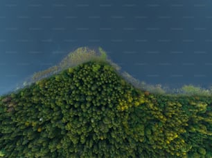 an aerial view of a forest with a mountain in the background