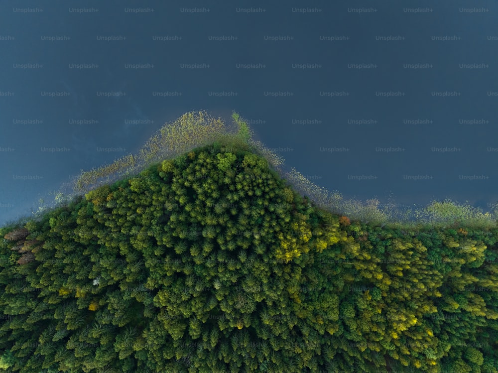 an aerial view of a forest with a mountain in the background