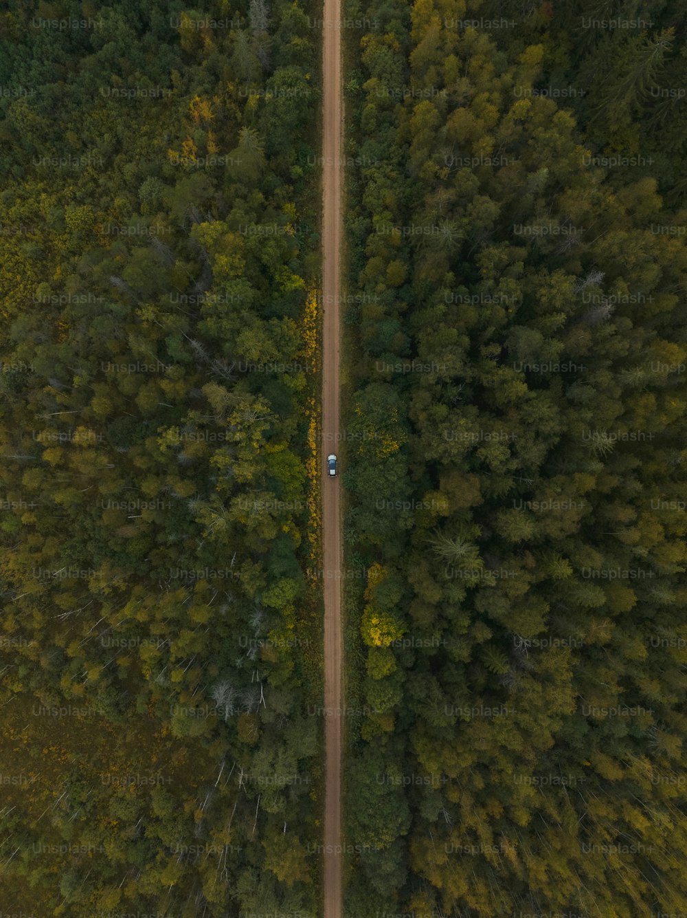 an aerial view of a road in the middle of a forest