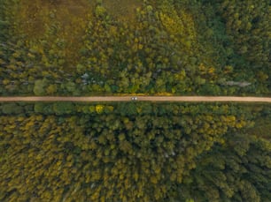 an aerial view of a road in the middle of a forest